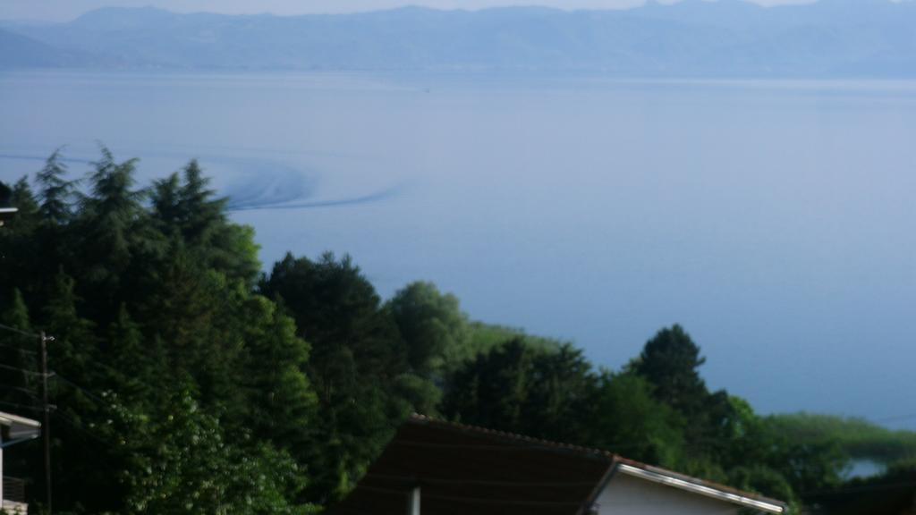 Villa Novak Ohrid Esterno foto